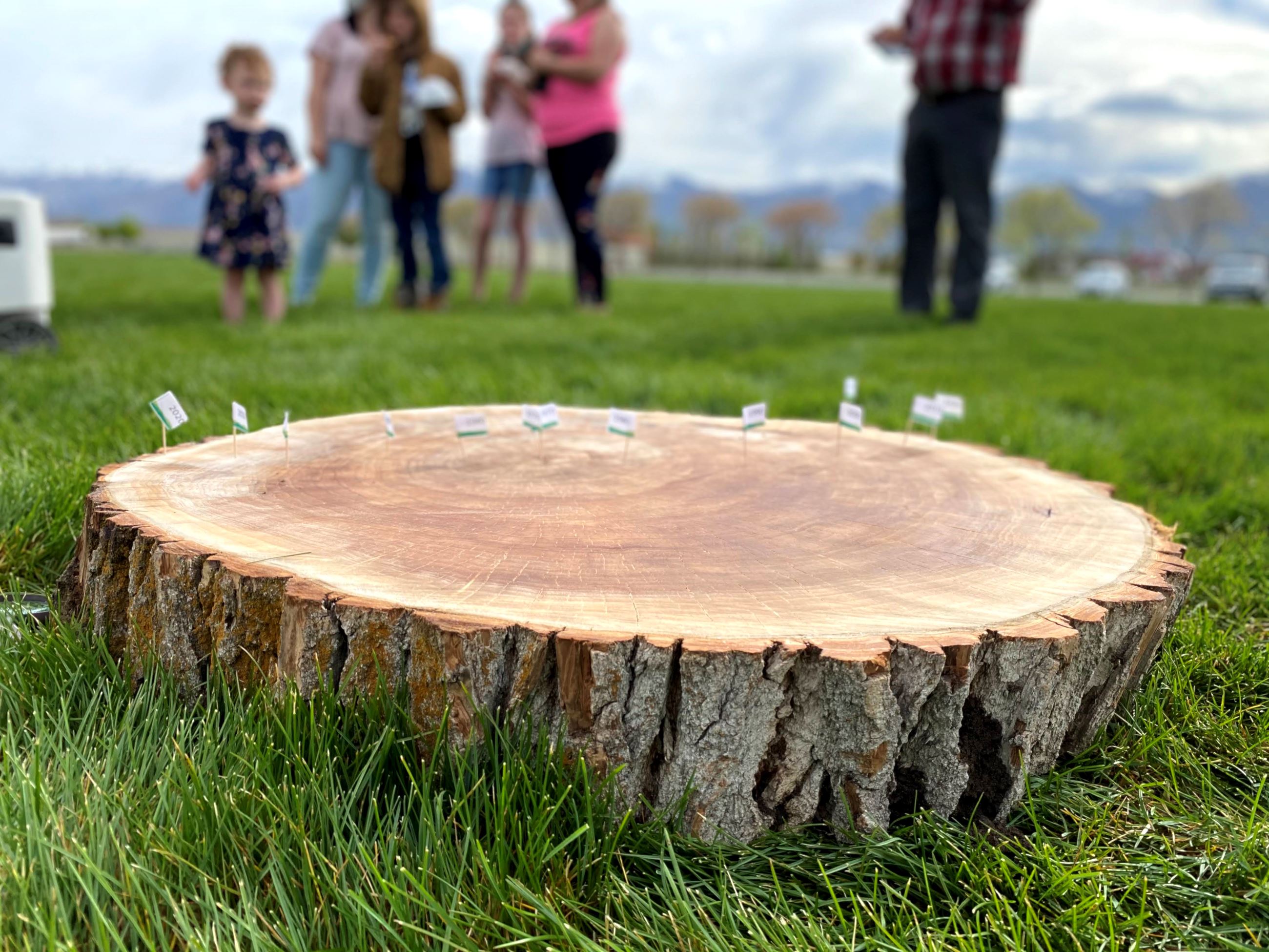 IMG_6932 Tree slice portrait mode family behind