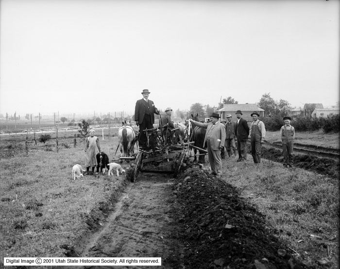 86159201962002_39222000658307[1]