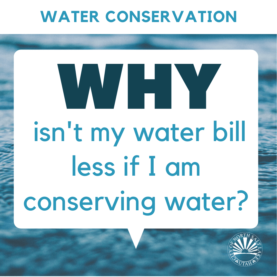 Copy of Water Conservation and city watering Instagram