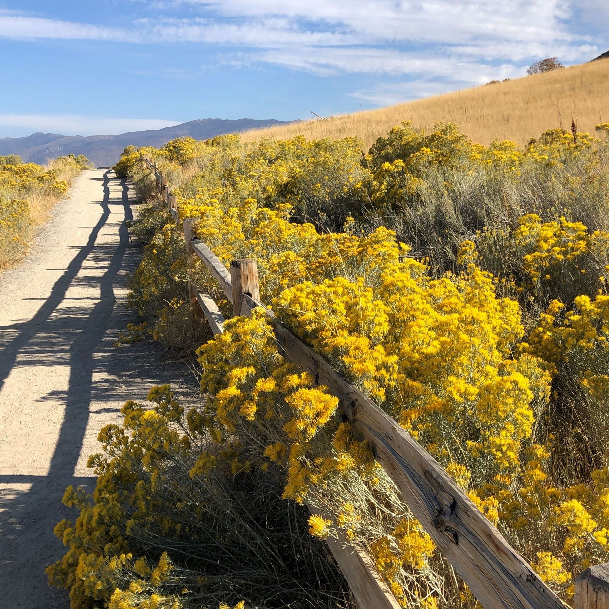 Bonneville Shoreline Trail at Tunnel Springs fence fall lh
