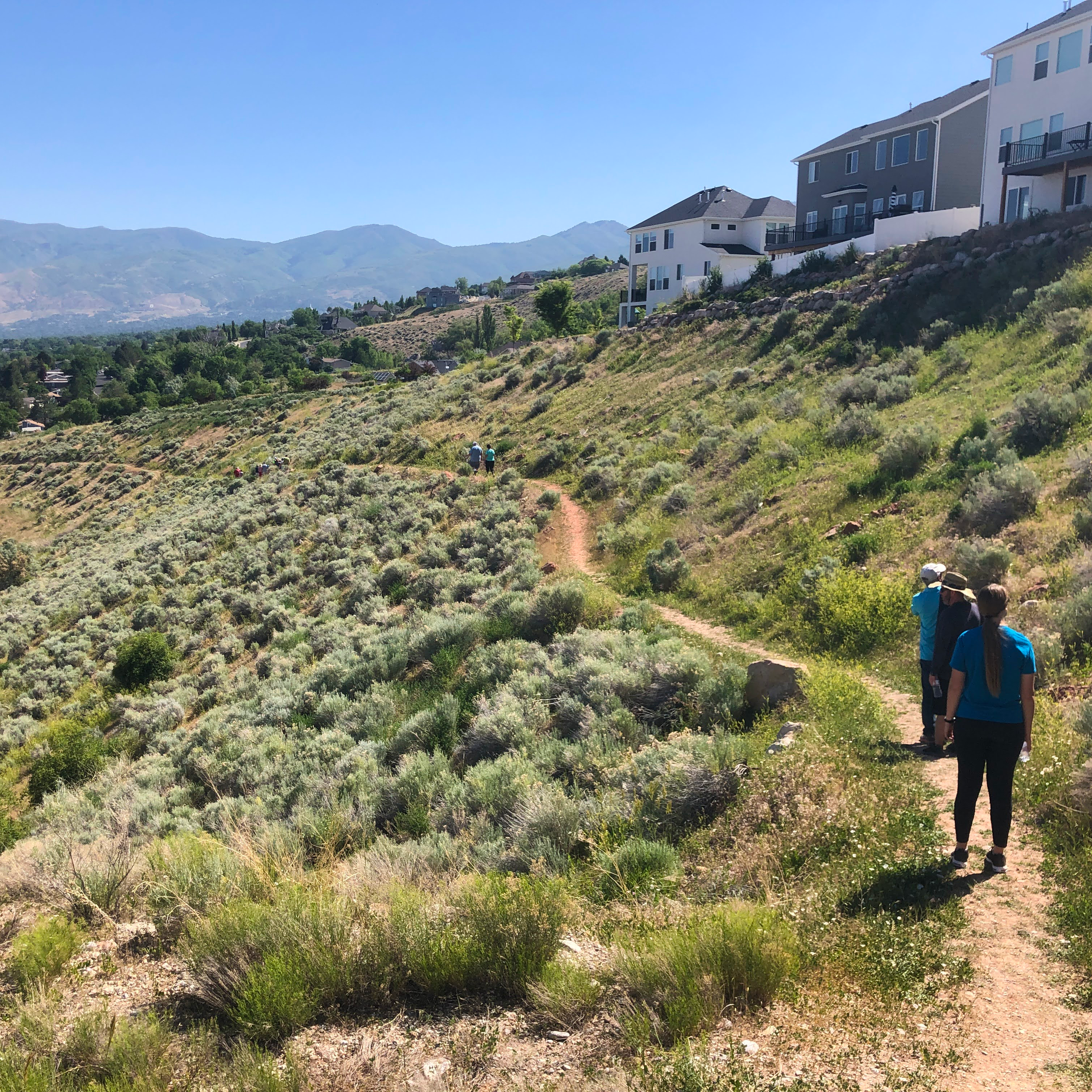 Wild Rose Trail west down to Eaglewood Village lh