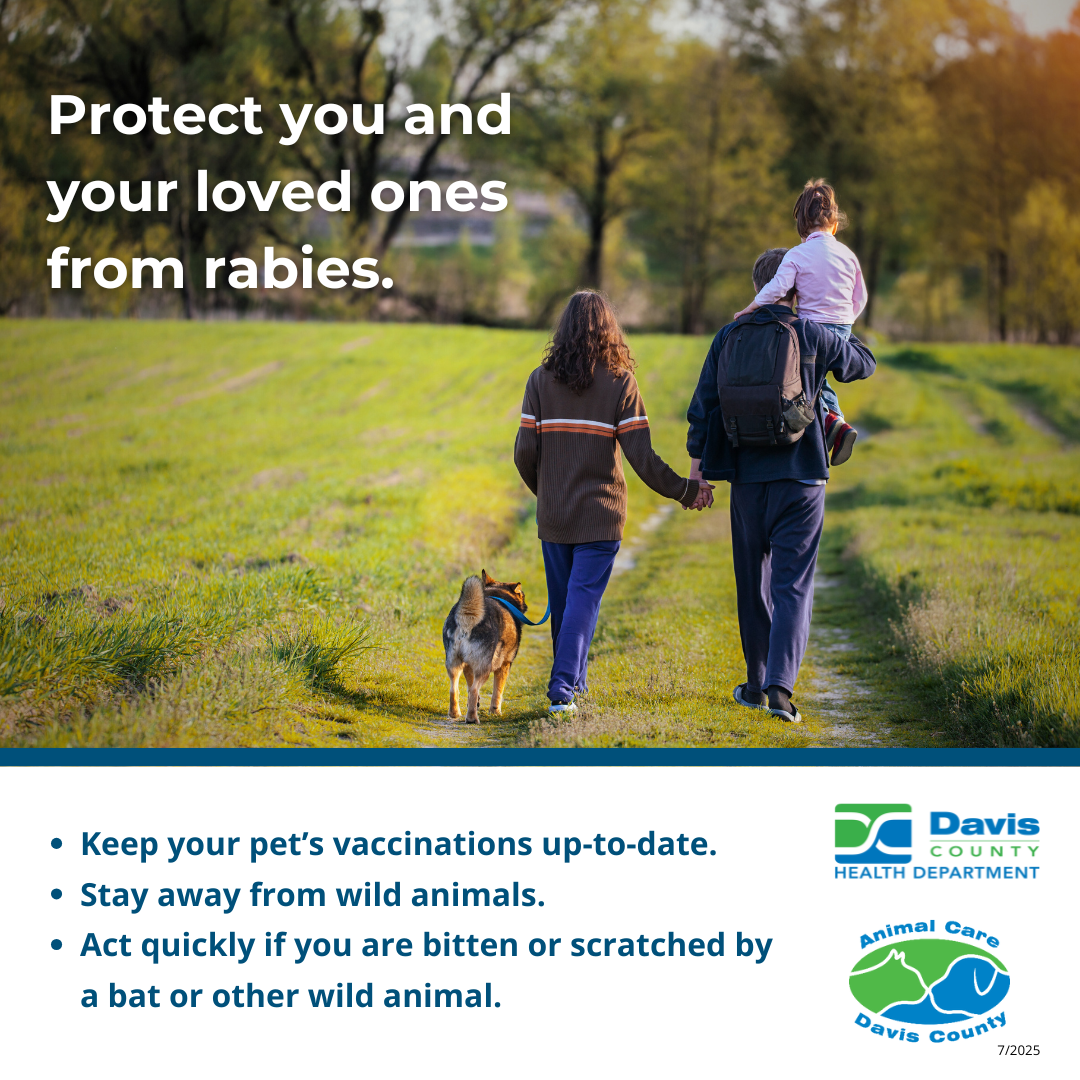 Rabies 2- Protect your family