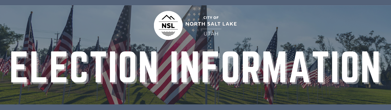 ELE Election Info website header (1600 x 450 px)