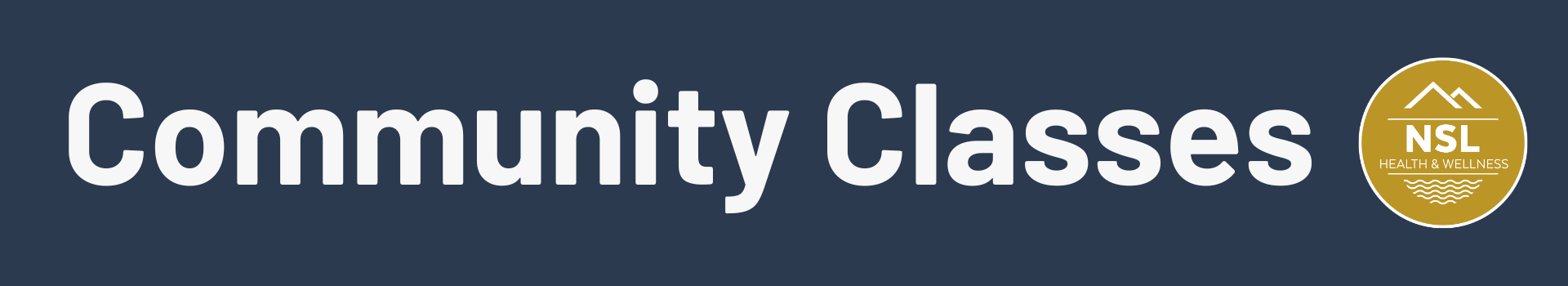 Health and Wellness graphics website Comm Classes header (1)