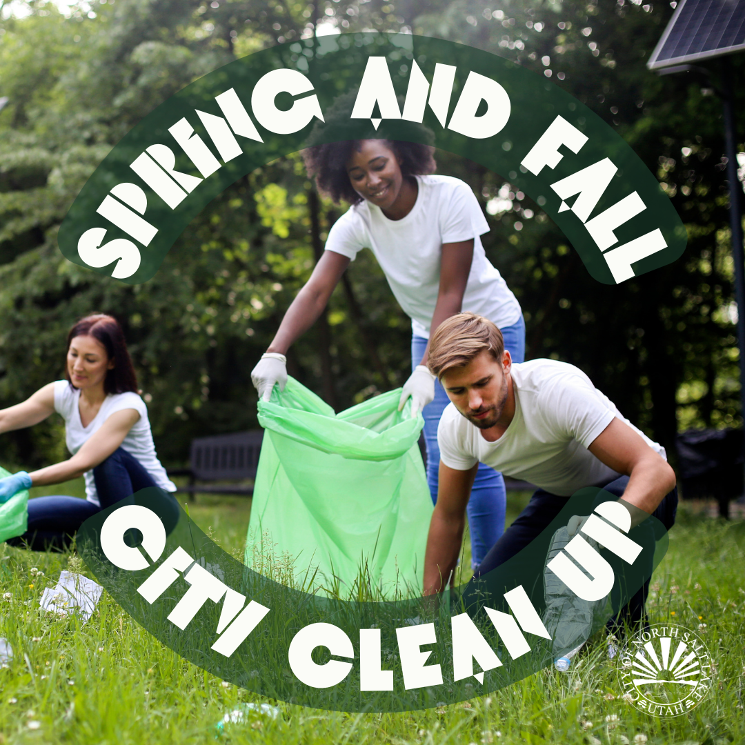General Spring Fall Cleanup for website