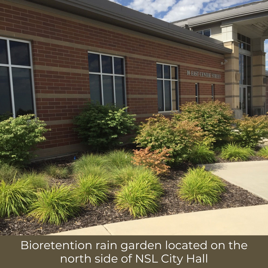 Bioretention rain garden located on the north side of NSL City Hall